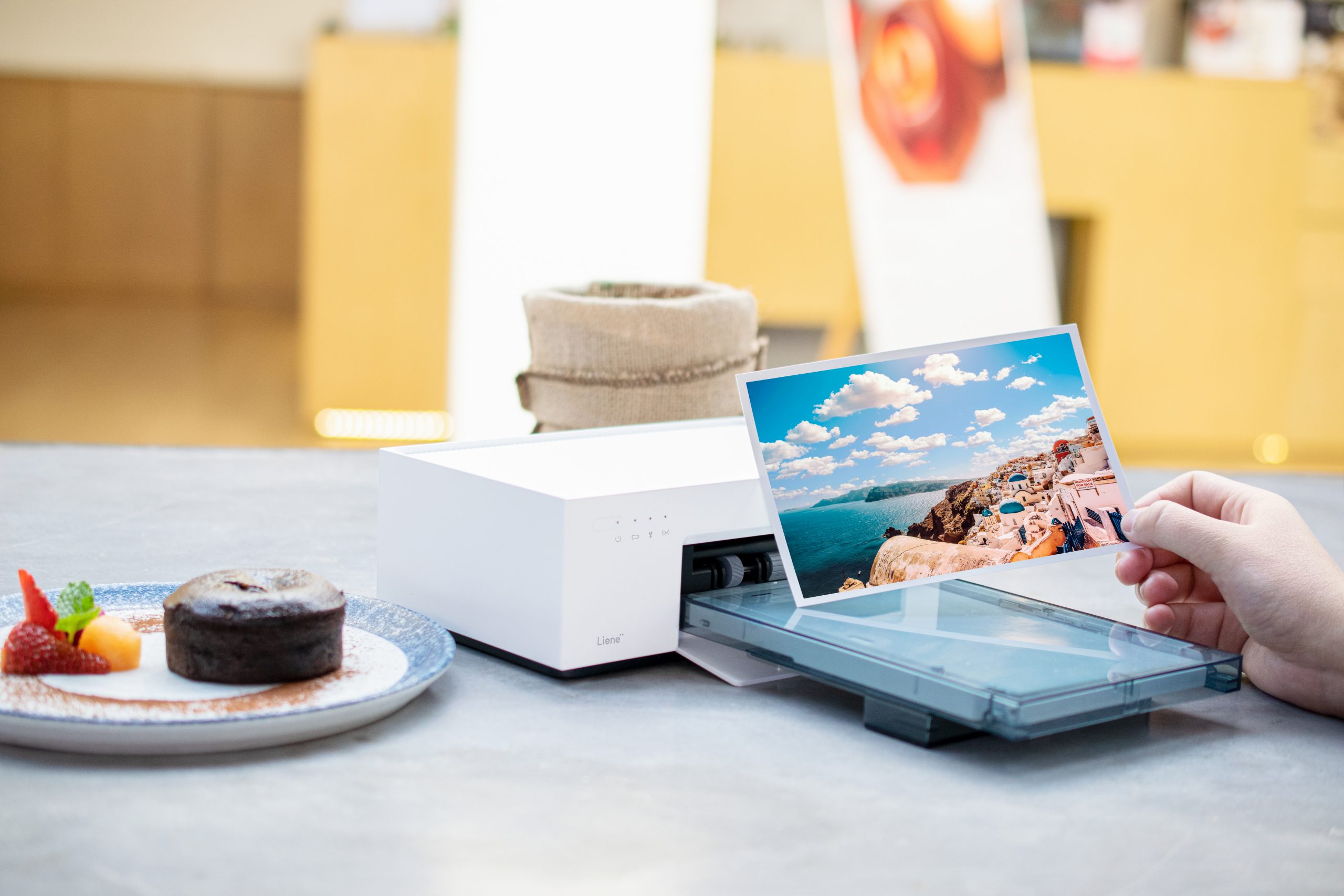 Are Liene’s Instant Photo Printers Fit For Professional Use?